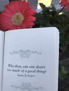 an open book with a quote on it sitting next to some red geranias