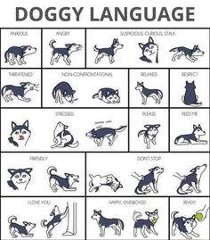 the dog language chart shows different types of dogs and how they are used to teach them