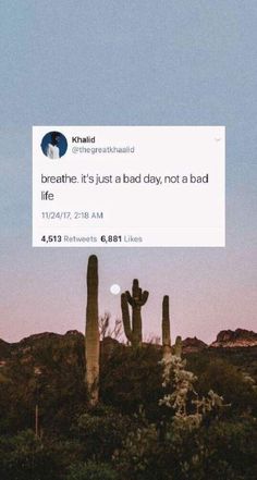 a tweet posted to someone in the desert with cacti on it