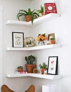 two shelves with plants and pictures on them