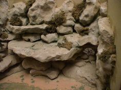 there is a rock wall with many rocks and plants growing out of it, in the corner