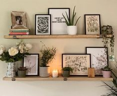 two wooden shelves filled with plants and pictures