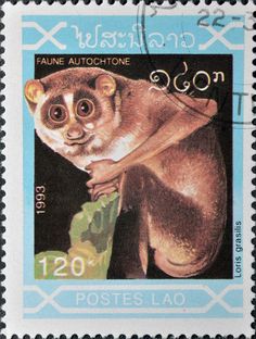 a postage stamp with an image of a monkey