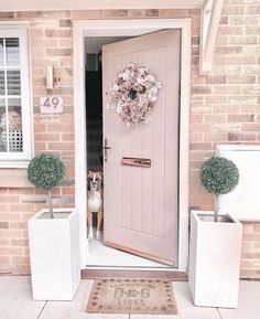 a dog sitting in front of a pink door