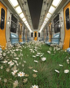 the inside of a subway car with flowers growing on the floor and in front of it