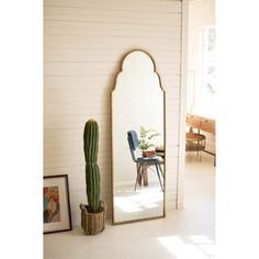 a large mirror sitting on the side of a wall next to a potted cactus