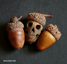 two acorns and an acorn with the caption all pirates are nuts but not all nuts are pirates