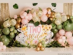 two wild baby shower backdrop with pink, green and gold balloons