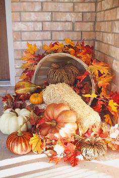 pumpkins and gourds are arranged on the front porch for fall decorating