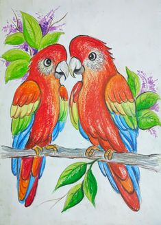 two parrots are sitting on a branch with leaves