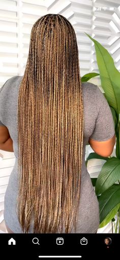 Brown And Gold Braids For Black Women, Small Knotless Box Braids Honey Blonde, Golden Blonde Box Braids, Blonde Mixture Knotless Braids, Brown Individual Braids, Brown And Blond Mixed Box Braids, Brown And Blonde Hair Black Women Braids, 2/27/30 Braids, Honey Blonde Braided Ponytail