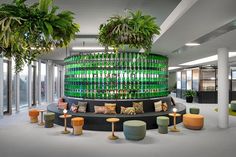 an office with green bottles on the wall and plants hanging from it's ceiling