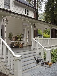 chickens are walking up and down the front steps of a house with white railings