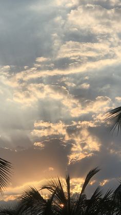 the sun is setting behind palm trees and clouds in the sky, with an airplane flying overhead