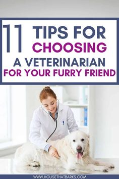 a woman in white coat petting a dog on the floor with text overlaying 11 tips for choosing a veterinaian for your furry friend