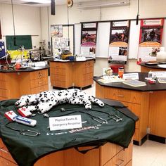 a dalmatian dog laying on top of a table covered in medical equipment and supplies