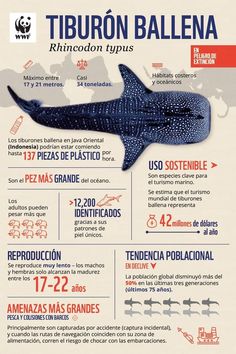 a poster with information about the different types of animals and their habitats in latin america