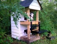 a cat house built into the side of a tree