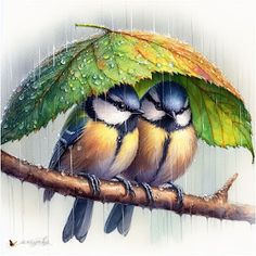 two birds are sitting on a branch under an umbrella in the rain with water droplets