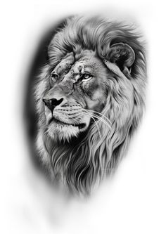 a black and white drawing of a lion's face with his eyes closed,