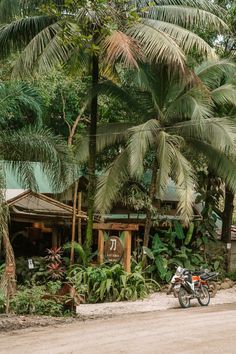 a motorcycle parked on the side of a dirt road next to palm trees and other greenery