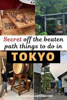 there are many different things in tokyo that you can see on this trip to japan