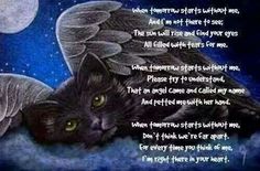 Cat prayerPet griefPet remembrance, Cat Condolences, Gato Angel, Cat Poems, Cat Loss, Pet Remembrance, Angel Cat, Devon Rex, Black Cat Art, Pet Sympathy