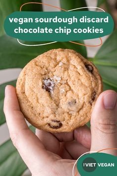 a person holding a chocolate chip cookie in their hand with the words vegan sourdough discard chocolate chip cookies above it