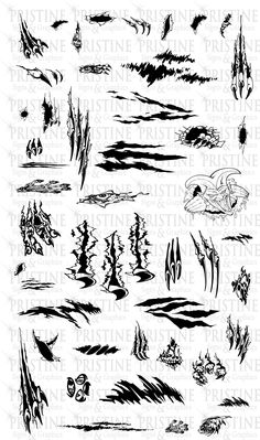 the silhouettes of different types of water plants and animals are shown in black ink