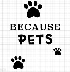 the words because pets are written in black on a white background with paw prints and an image of a dog's foot