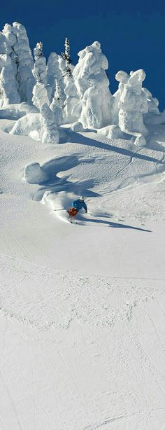 a man riding skis down the side of a snow covered slope next to trees