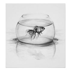 a pencil drawing of a fish in a bowl