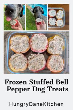 the frozen stuffed bell pepper dog treats are ready to be eaten