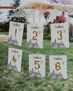 the table numbers are hanging on a string in front of some grass and trees with feathers