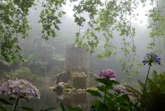 an old tower in the middle of a forest filled with trees and flowers on a foggy day