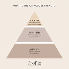 What is an Olfactory Pyramid? Perfume Notes Pyramid, Scent Guide, Fragrance Pyramid, Perfume Ingredients, Diy Deodorant, Diy Perfume, Citrus Fragrance