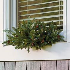 a window sill with a plant in it