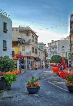 an empty street with potted plants and flowers