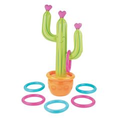 a cactus in a pot with rings around it