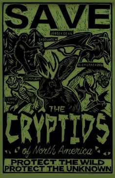 the poster for save the crypts and protect the unknown