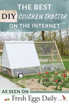 the chicken tractor is on the internet as seen on fresh eggs daily