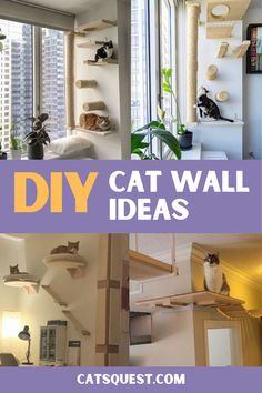 Did you know that you can install a cat shelf with suction cups on your window? It's as easy as it sounds! We included sets so you can DIY the design of the perfect cat wall design! Diy Cat Climbing Wall, Cat Shelves Diy Climbing Wall, Cat Wall Ideas, Cat Shelves Diy, Climbing Wall Diy, Diy Cat Climbing, Diy Cat Wall Ideas, Diy Cat Wall, Cat Wall Playground