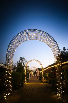 an archway decorated with fairy lights in the middle of a garden at night, surrounded by greenery