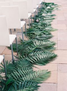 rows of white chairs lined up next to each other with green plants growing on them