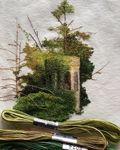 two skeins of green yarn sitting on top of each other next to some plants