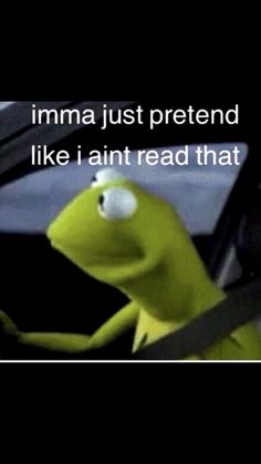 kermie the frog driving with text that reads imma just pretendd like i amt read that