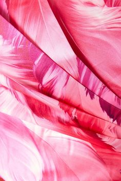 pink and red feathers are spread out in the air on top of a bed sheet