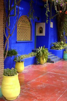 several potted plants in front of a blue wall and red tiles on the floor