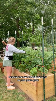 a woman standing next to a garden filled with plants