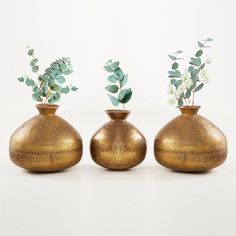 three gold vases with plants in them on a white background, one is empty and the other has green leaves